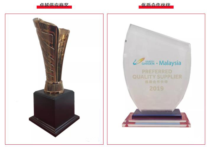 青龍榮獲碧桂園集團(tuán)兩項殊榮 防水材料