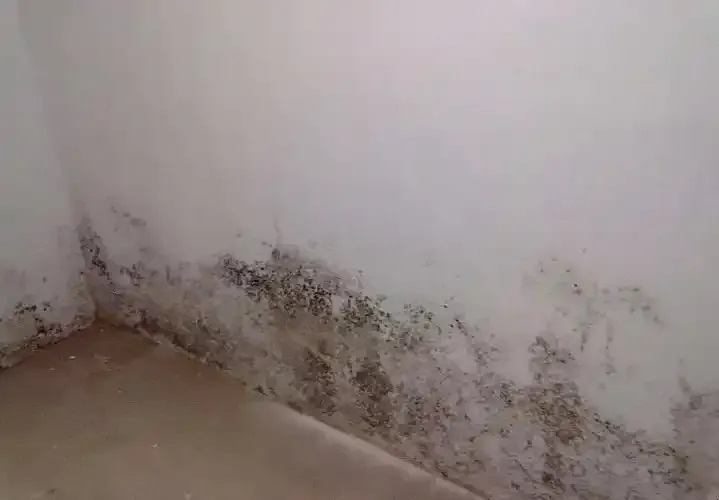 防水≠防滲！80%的人都弄錯(cuò)了！