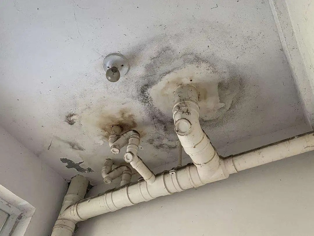 衛(wèi)生間漏水反復(fù)修不好？一文教你徹底根治！