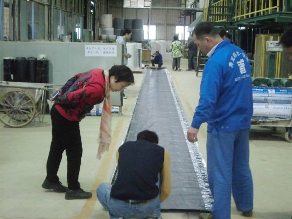 中核專家組考察青龍pcm防水卷材質(zhì)量品質(zhì) 防水材料